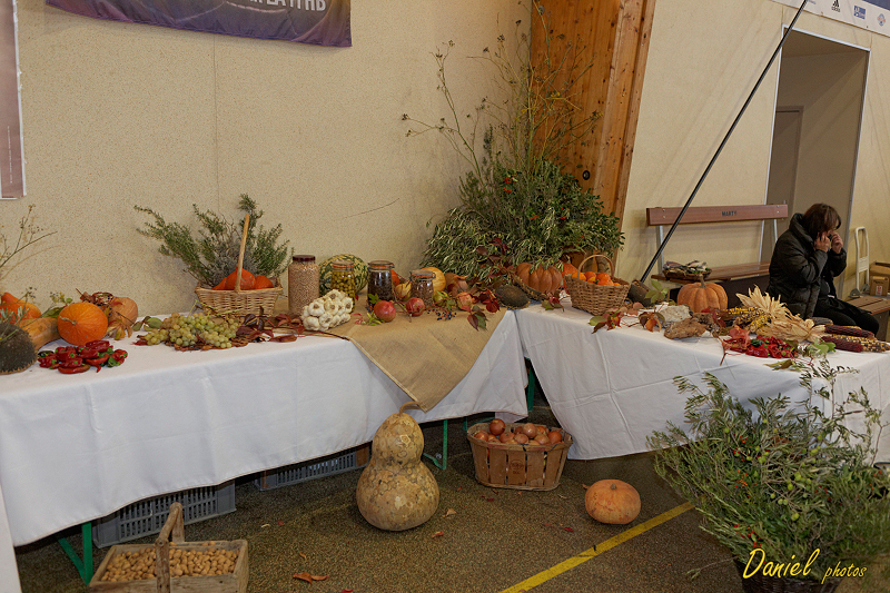 Santons Lancon 26102013-098