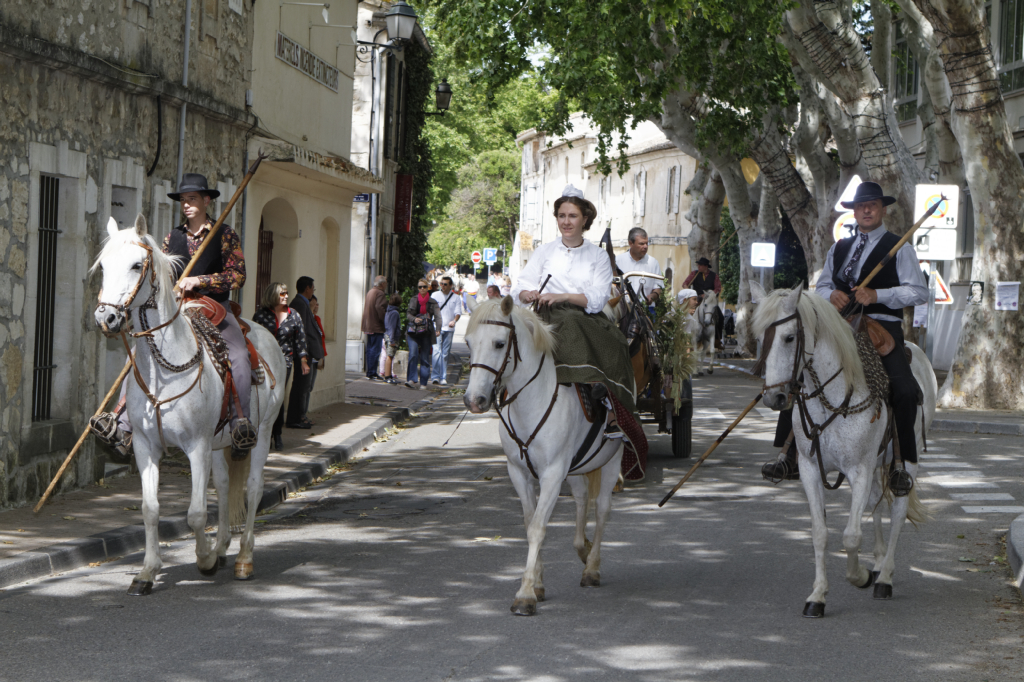 StEloi-Maussane-09062013 01