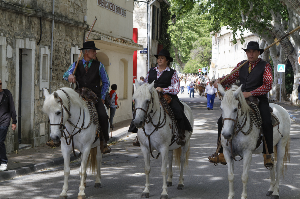 StEloi-Maussane-09062013 04