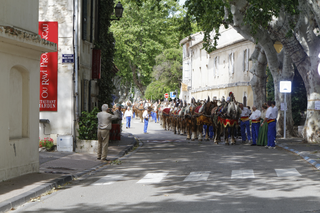StEloi-Maussane-09062013 08