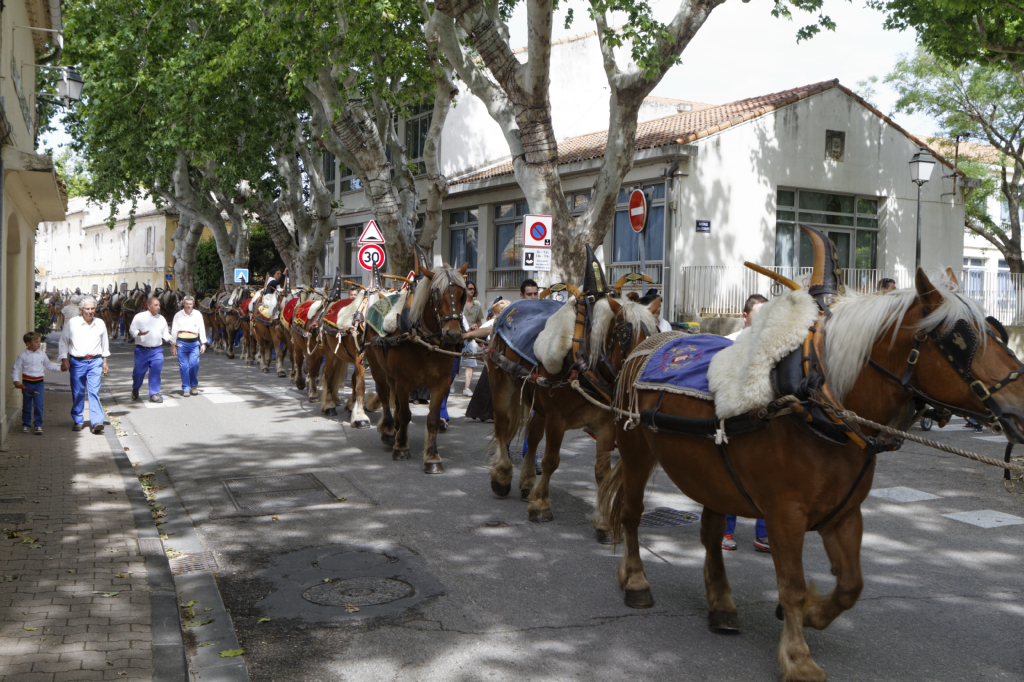 StEloi-Maussane-09062013 11