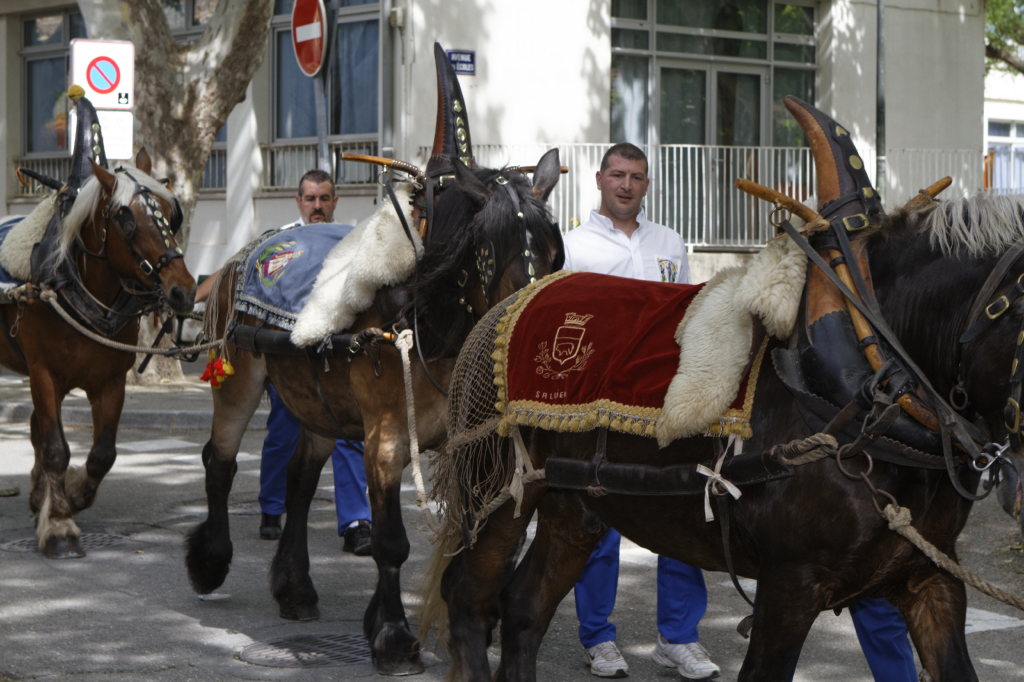 StEloi-Maussane-09062013 14