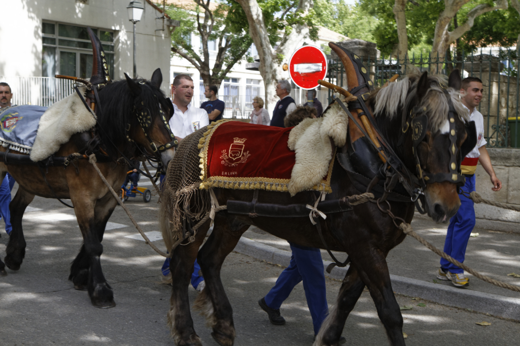 StEloi-Maussane-09062013 15