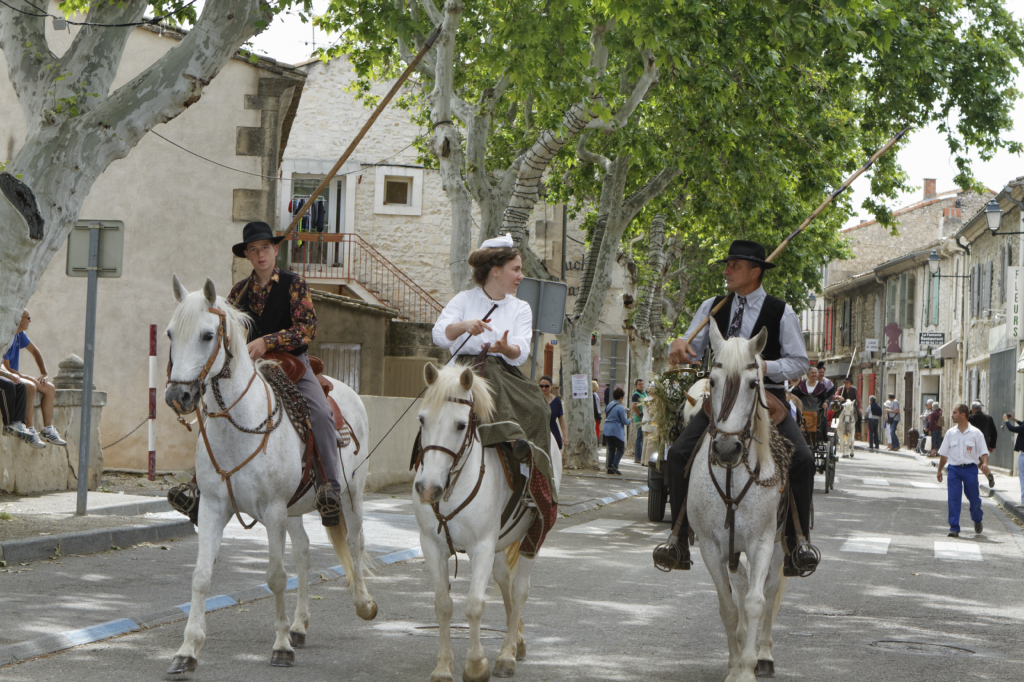 StEloi-Maussane-09062013 22