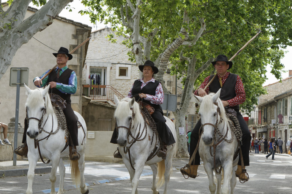 StEloi-Maussane-09062013 26