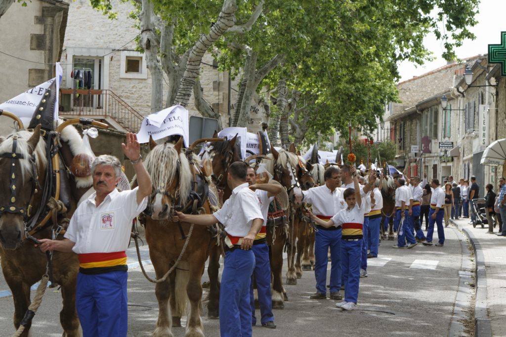 StEloi-Maussane-09062013 39