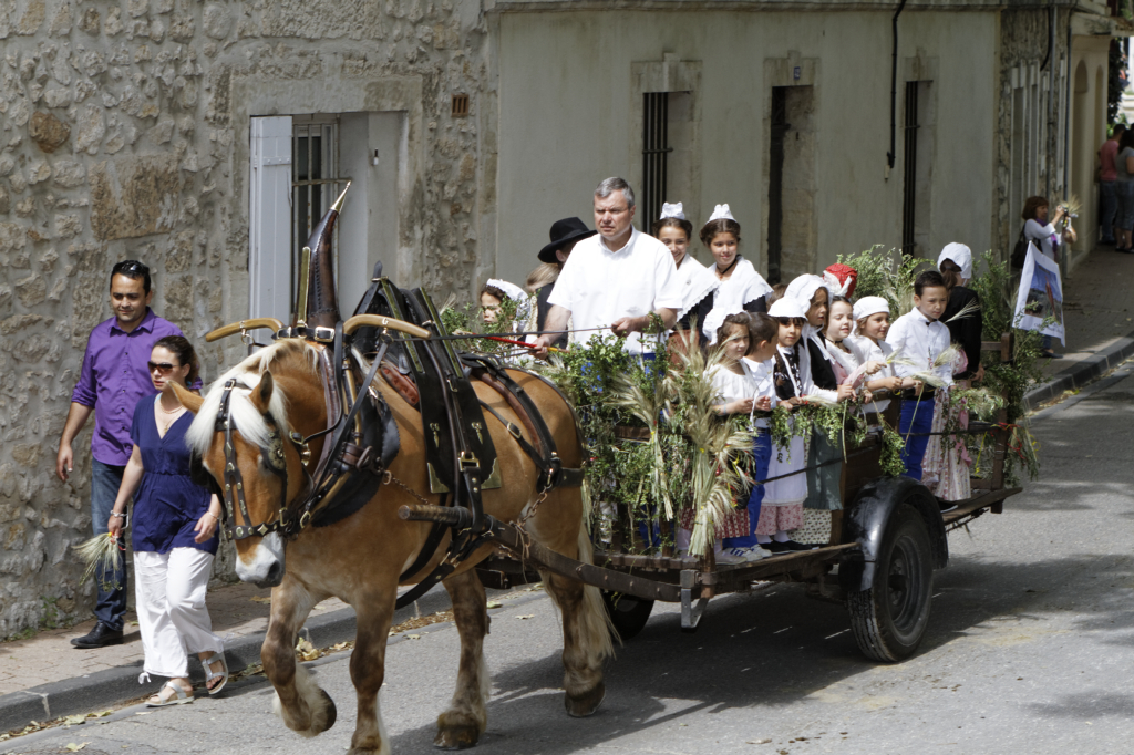 StEloi-Maussane-09062013 67