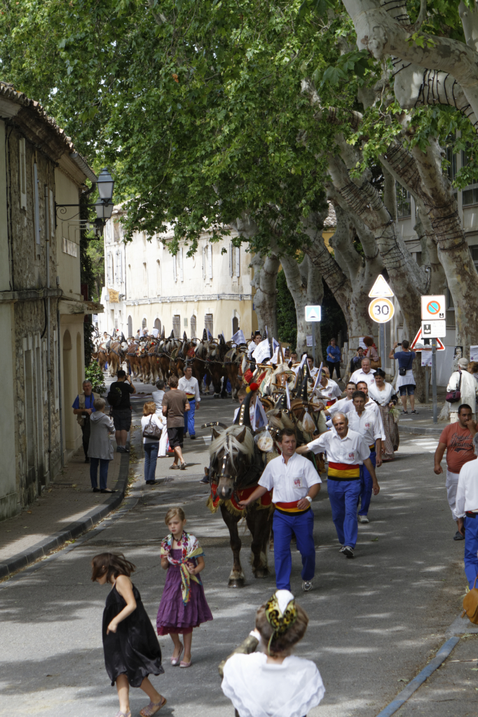 StEloi-Maussane-09062013 69
