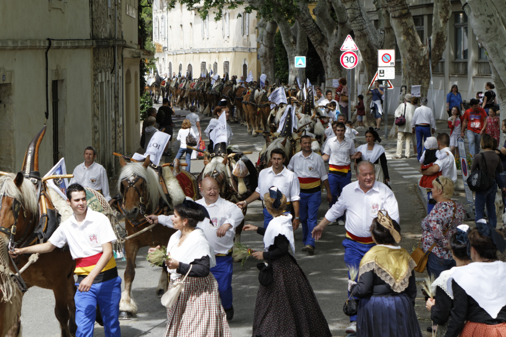 StEloi-Maussane-09062013 72