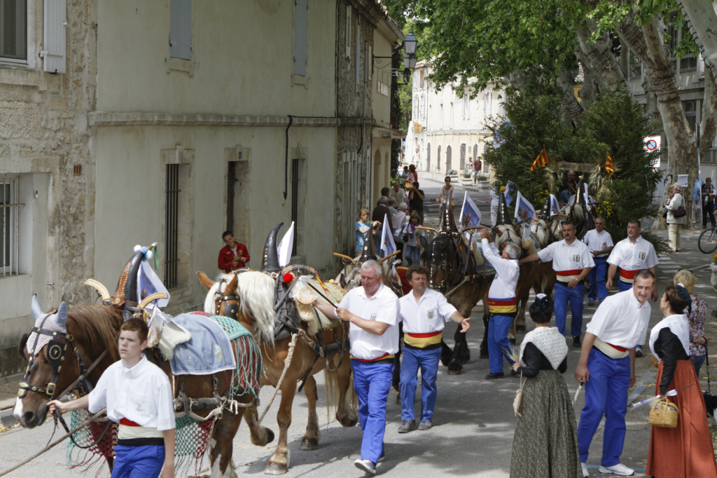 StEloi-Maussane-09062013 79