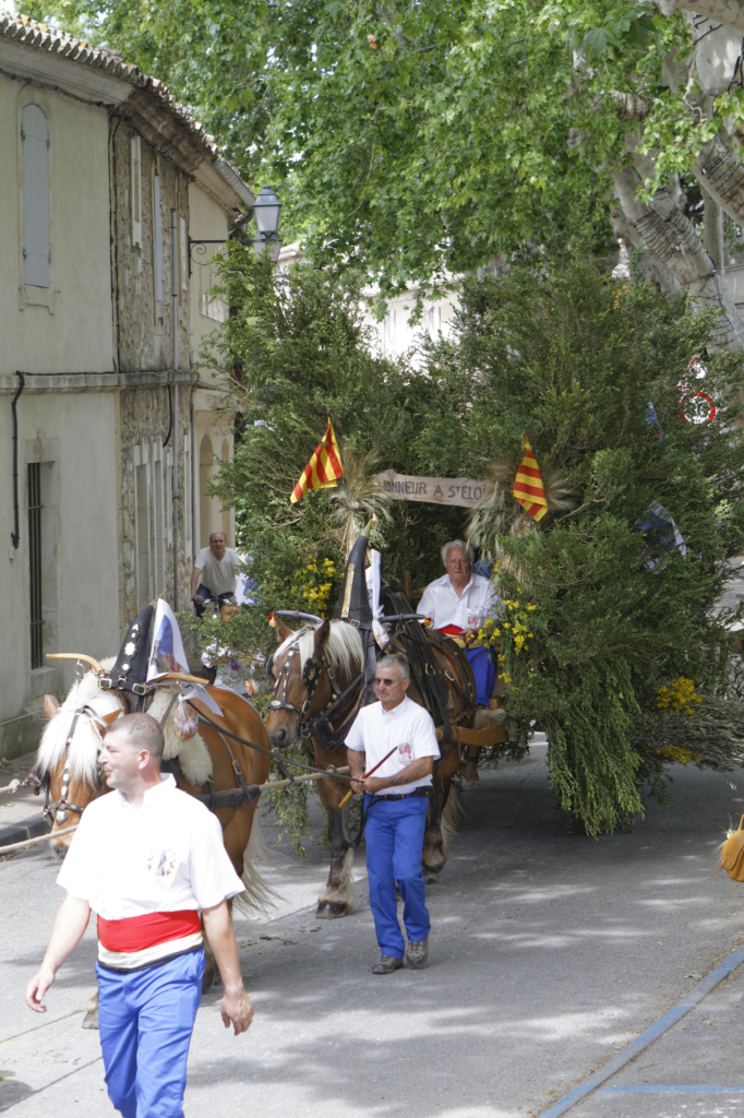 StEloi-Maussane-09062013 81