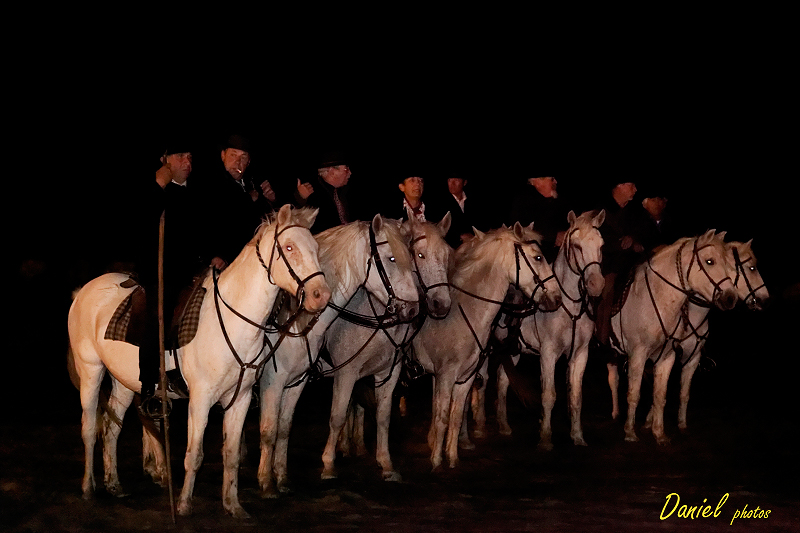 StesMaries 19102013-45