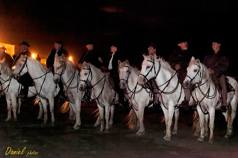 StesMaries 19102013-49