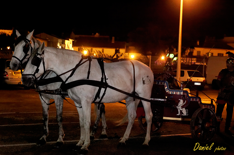 StesMaries 19102013-55