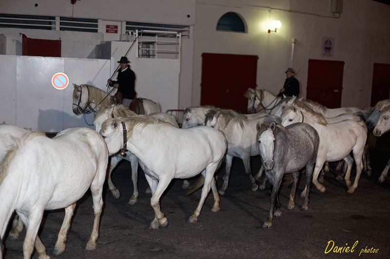 StesMaries 19102013-63