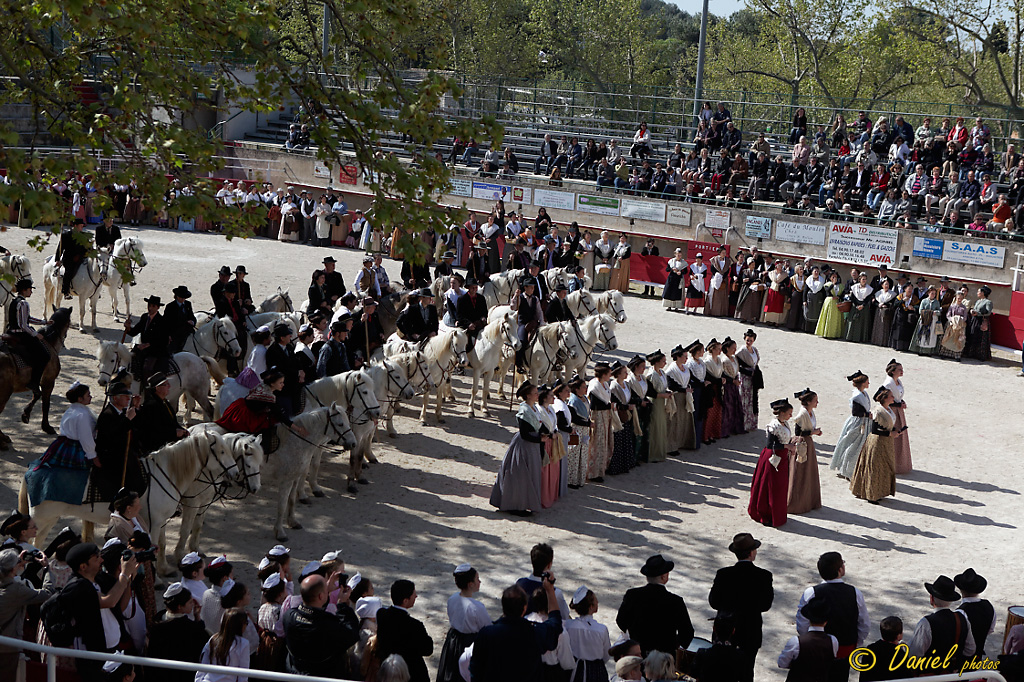 Recampado Fontvieille 06042014 003