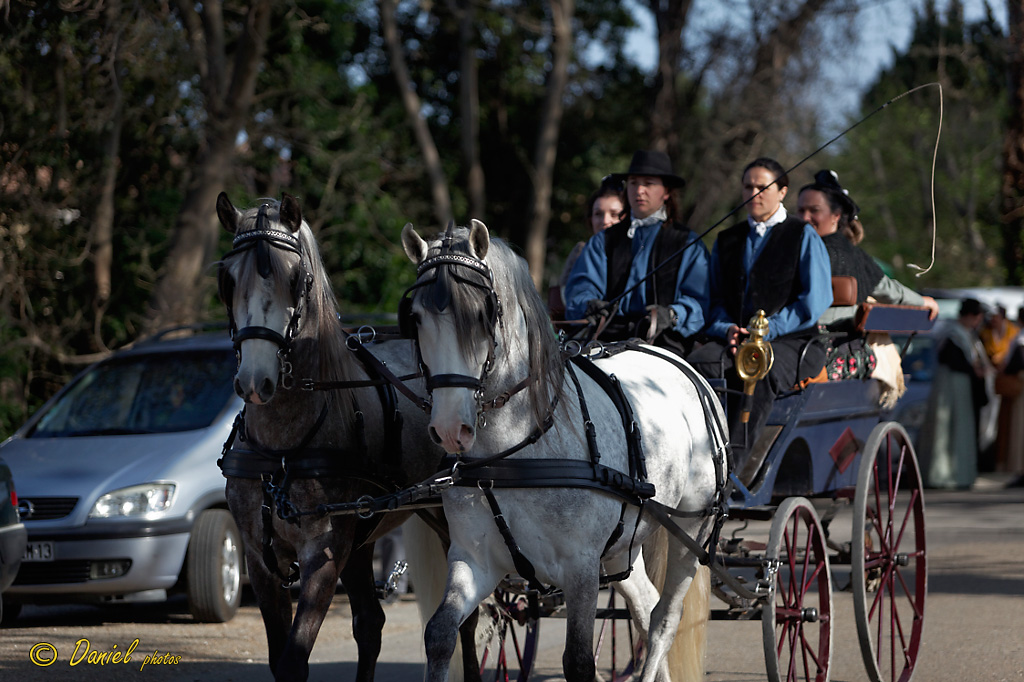 Recampado Fontvieille 06042014 009