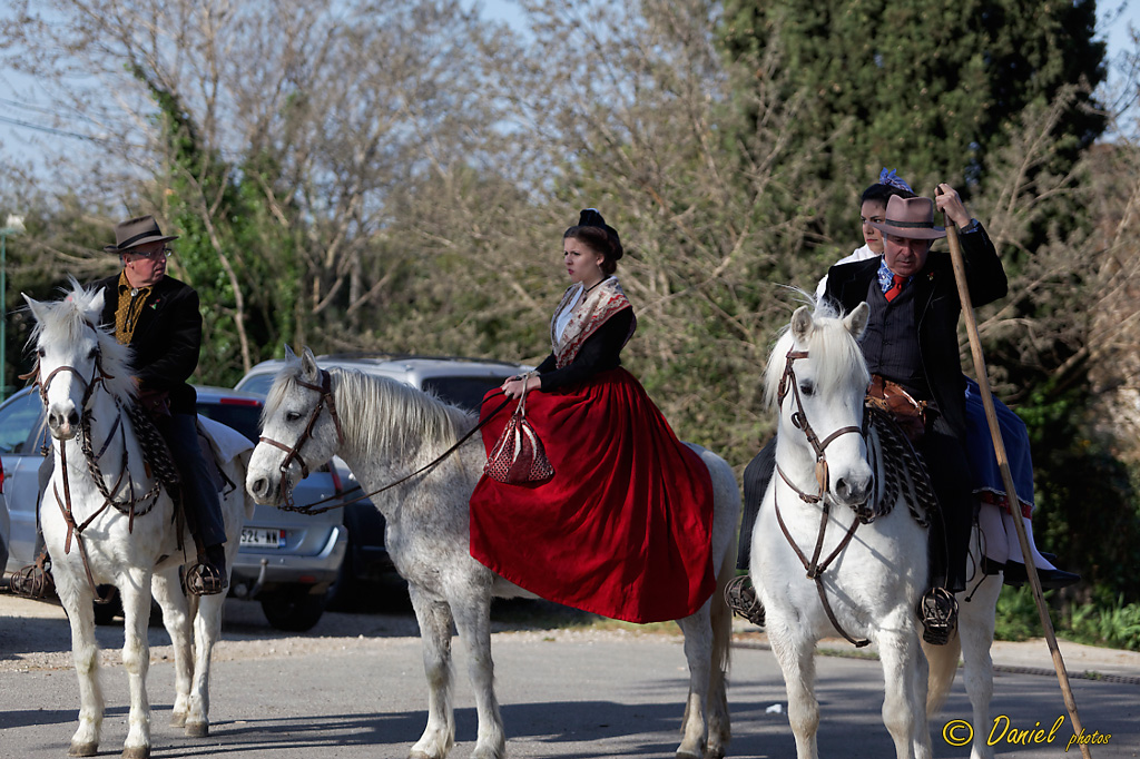 Recampado Fontvieille 06042014 010