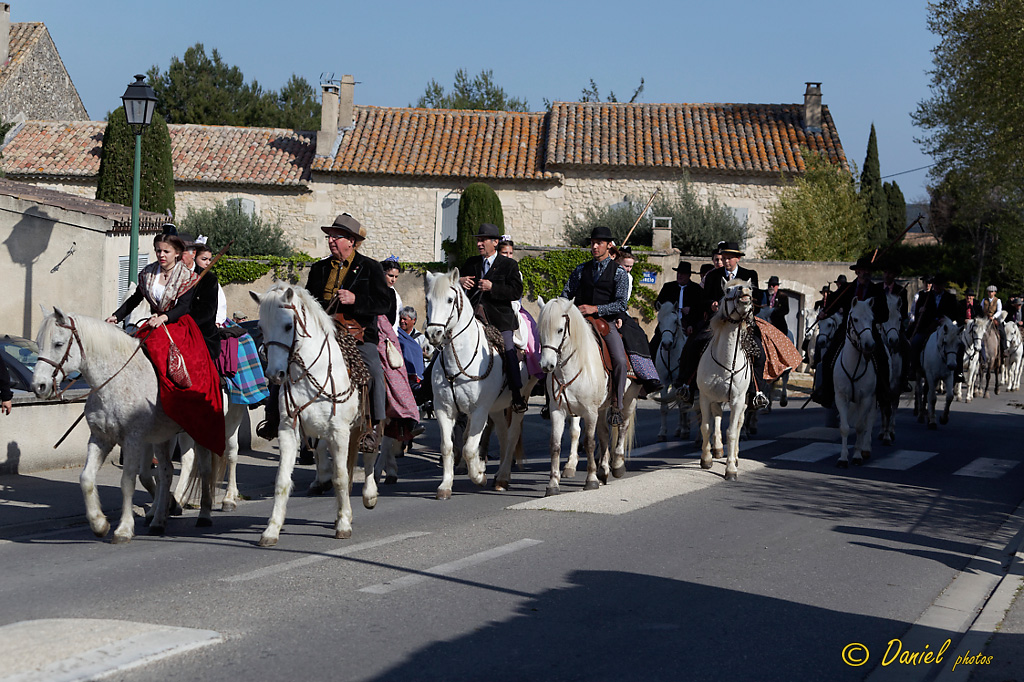 Recampado Fontvieille 06042014 068
