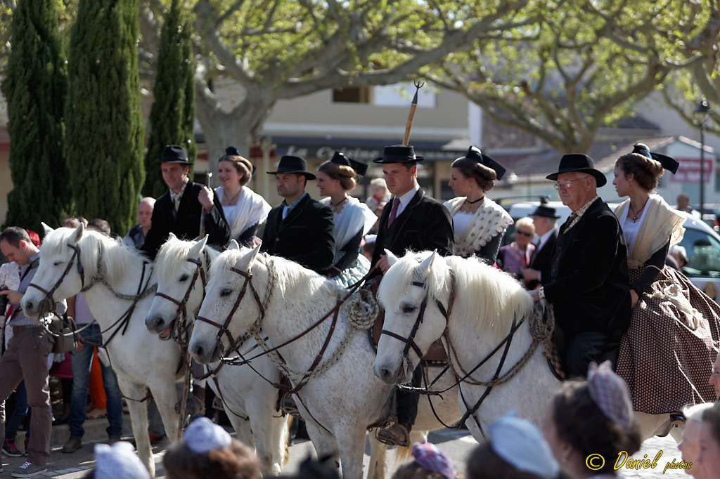Recampado Fontvieille 06042014 087