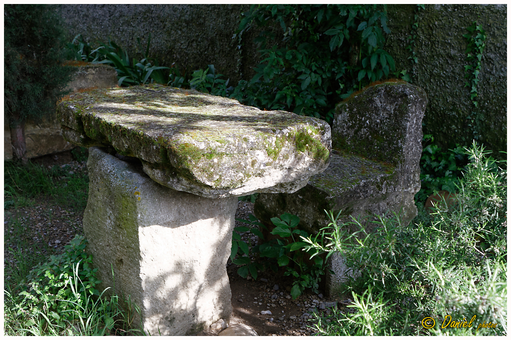 Galoi StMarc Eyguieres 25042014 030