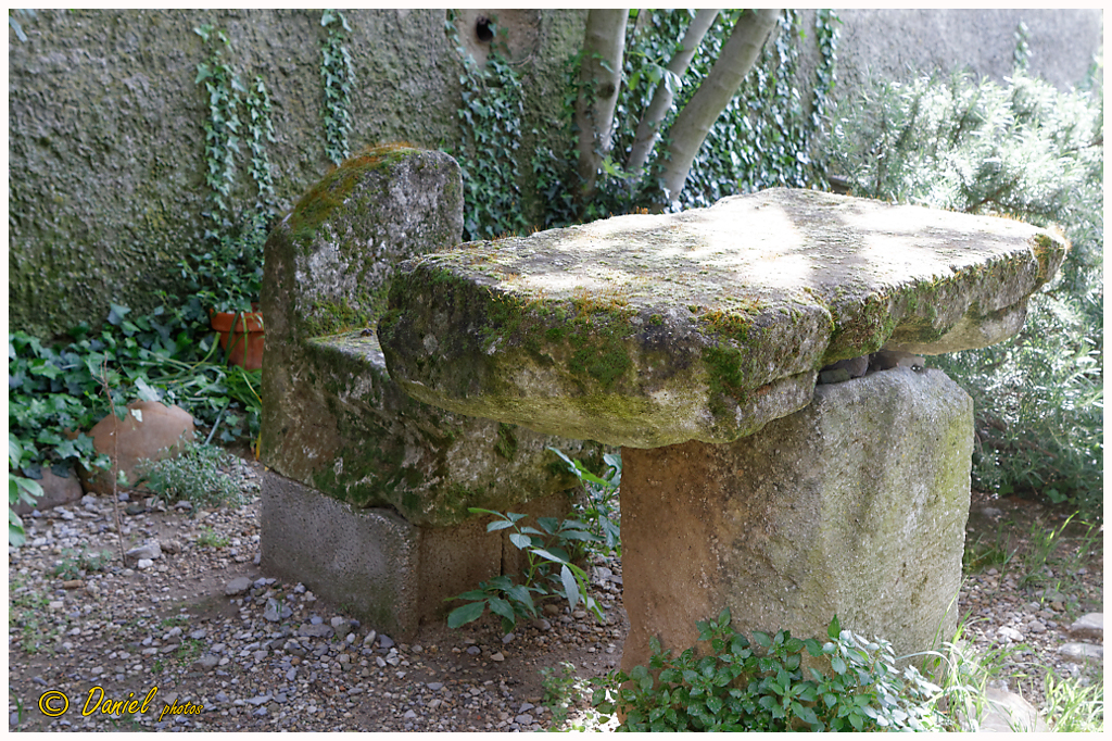 Galoi StMarc Eyguieres 25042014 031