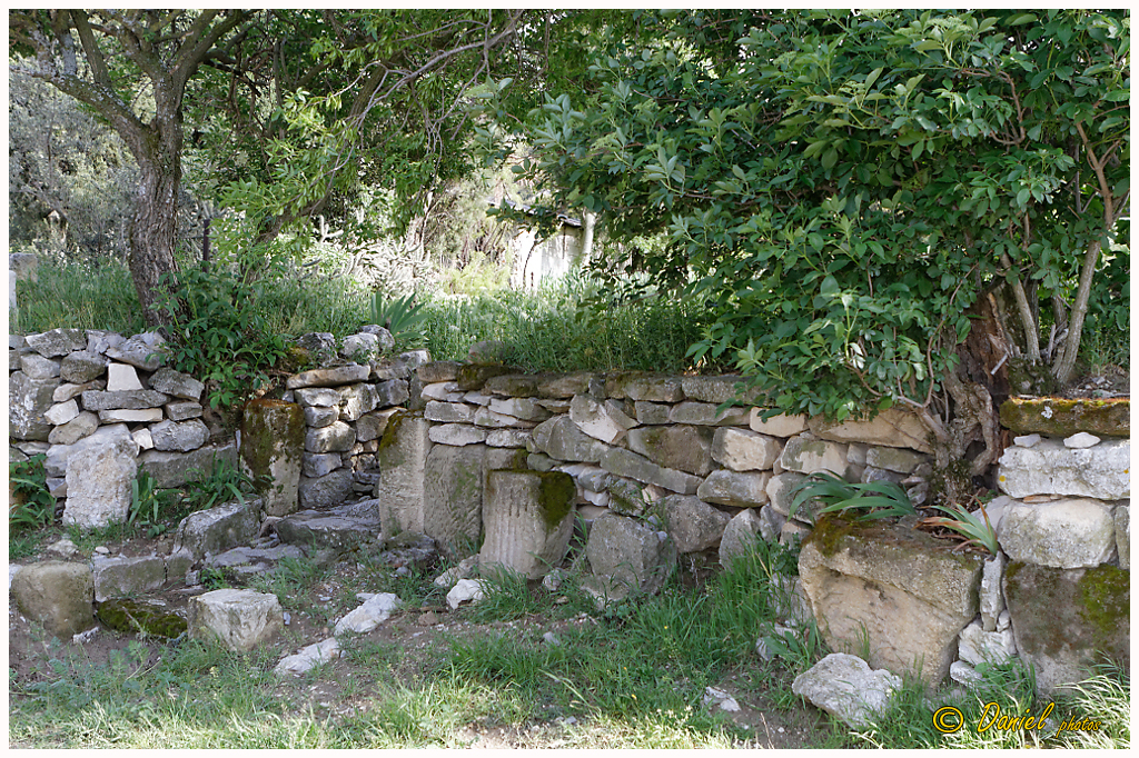 Galoi StMarc Eyguieres 25042014 034