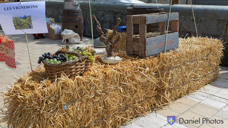 Soupe-Pistou Miramas 14072013 124
