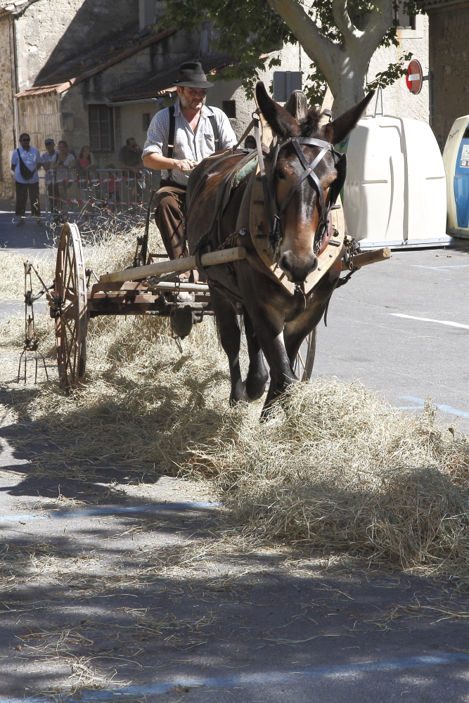 Maussane 26082012 130