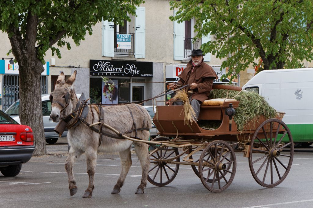 Fete de la transhumance Senas 28042013 003