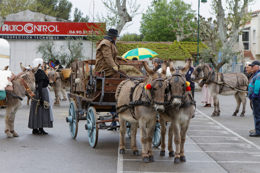 Fete de la transhumance Senas 28042013 005