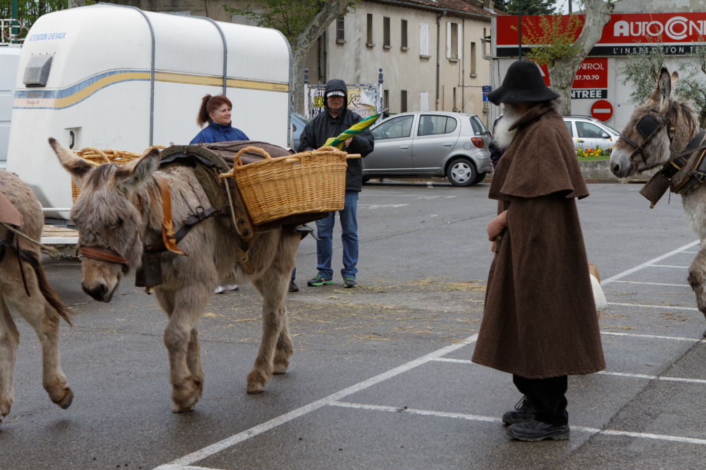 Fete de la transhumance Senas 28042013 008