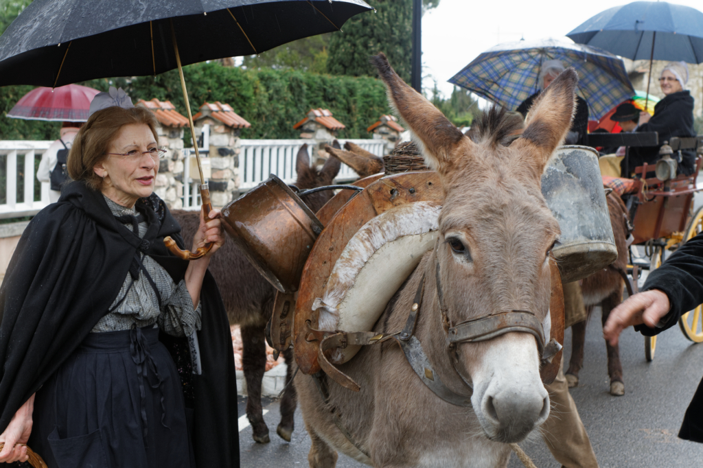 Fete de la transhumance Senas 28042013 013