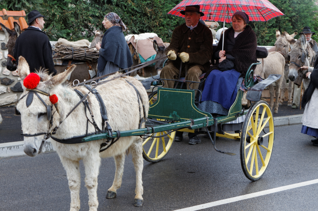 Fete de la transhumance Senas 28042013 017