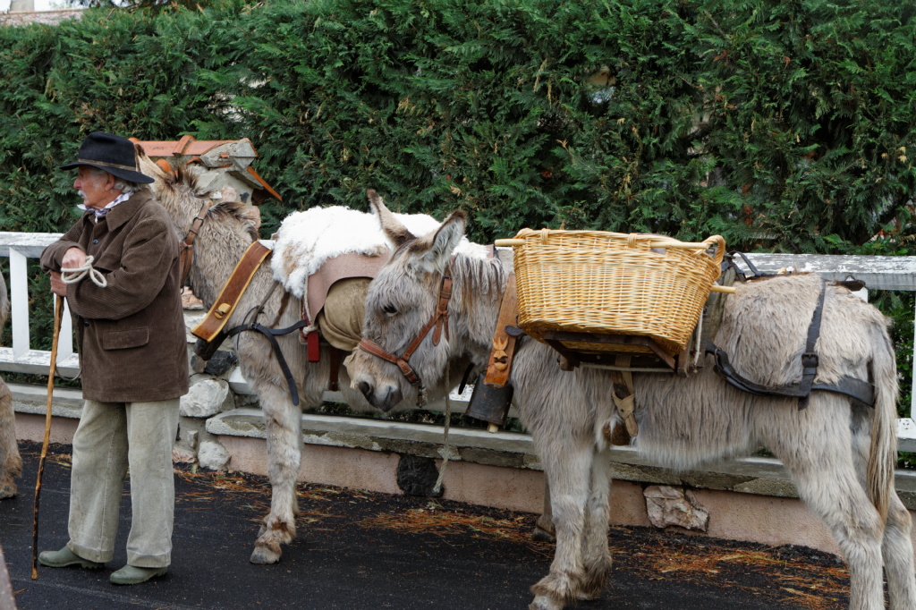 Fete de la transhumance Senas 28042013 021