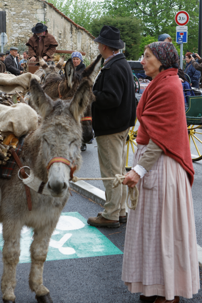 Fete de la transhumance Senas 28042013 026