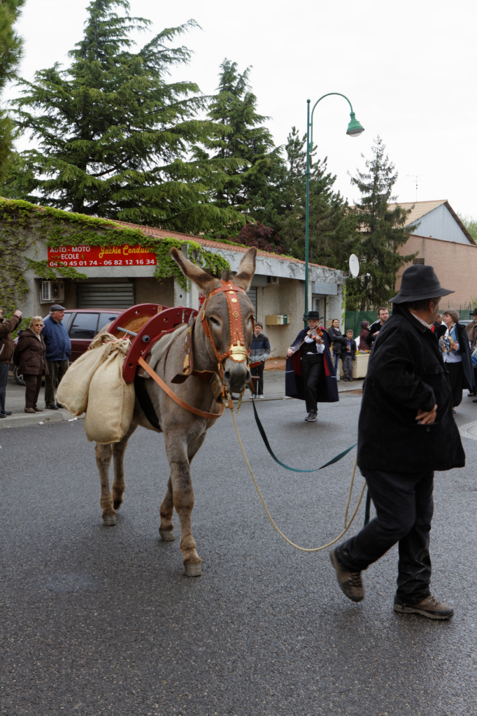 Fete de la transhumance Senas 28042013 072