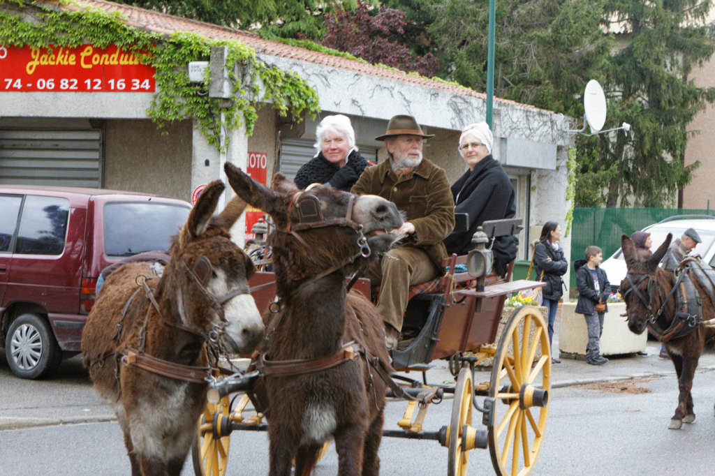 Fete de la transhumance Senas 28042013 076