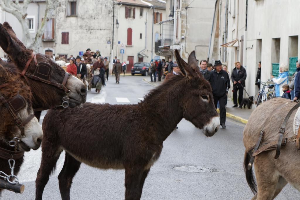 Fete de la transhumance Senas 28042013 077