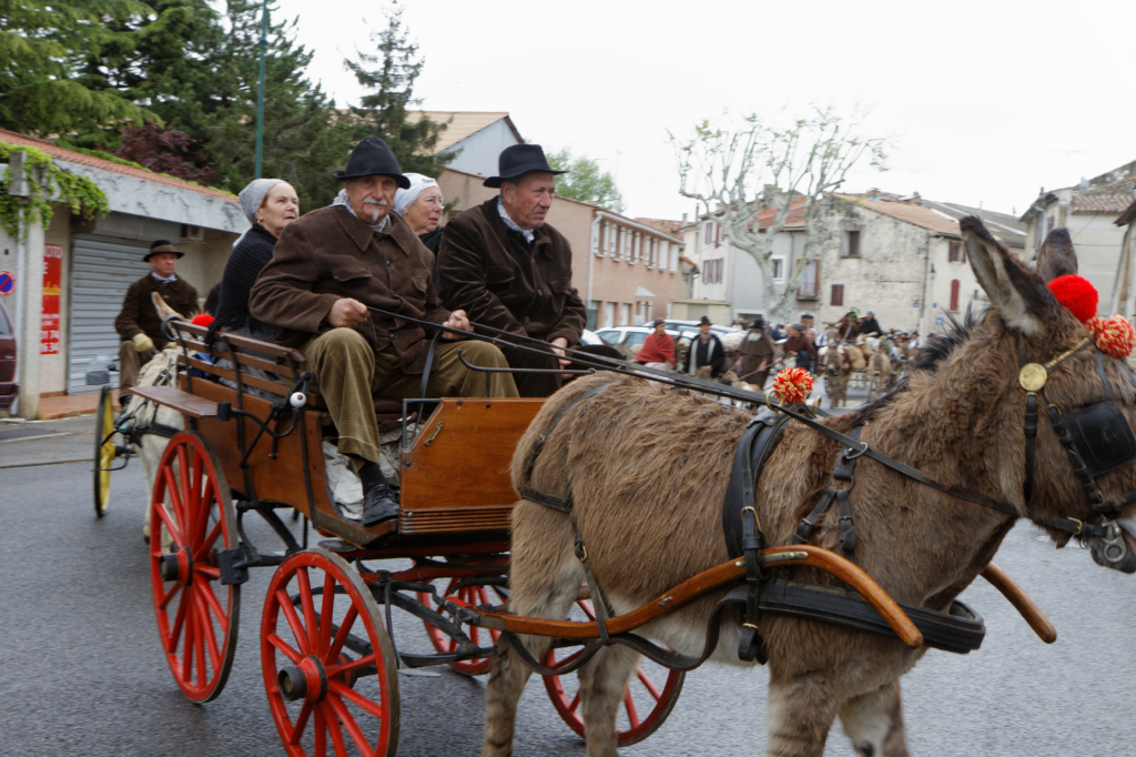 Fete de la transhumance Senas 28042013 079