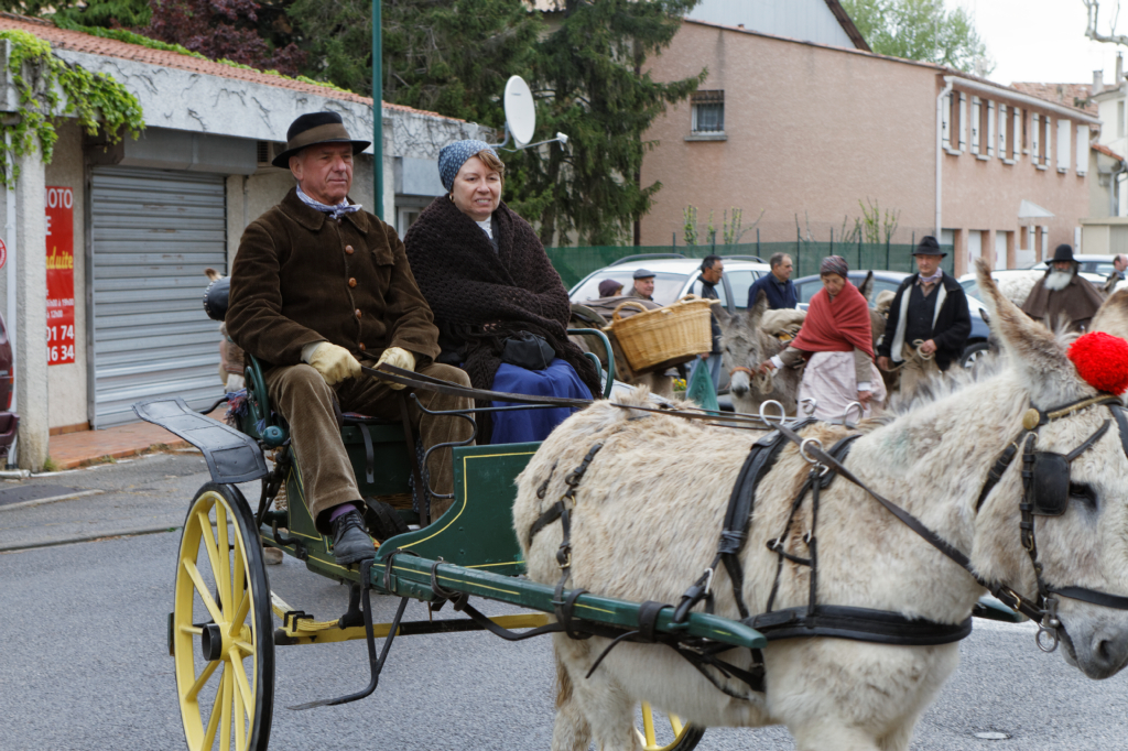 Fete de la transhumance Senas 28042013 080