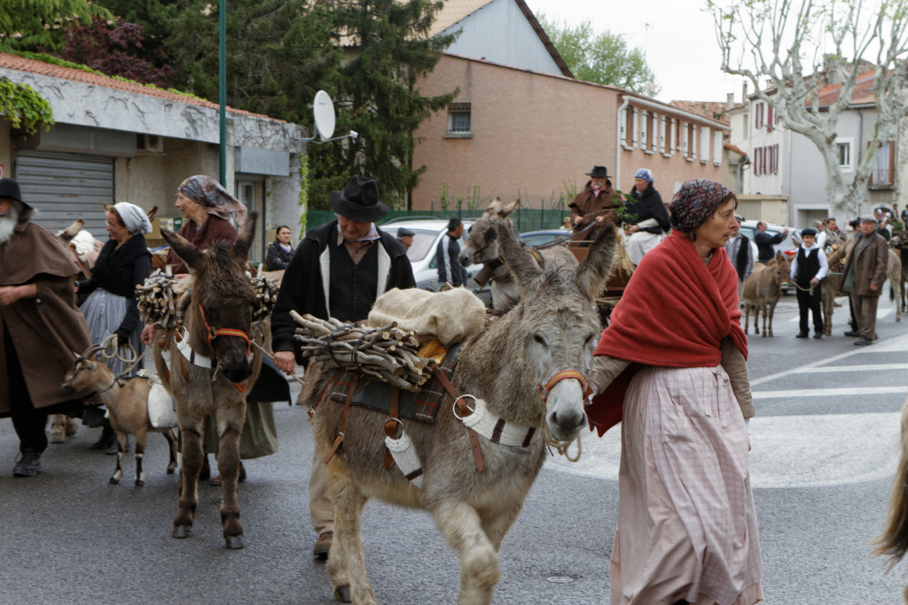 Fete de la transhumance Senas 28042013 083