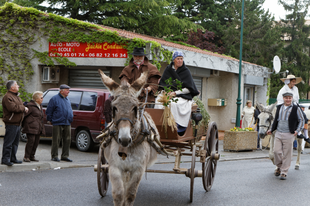 Fete de la transhumance Senas 28042013 086