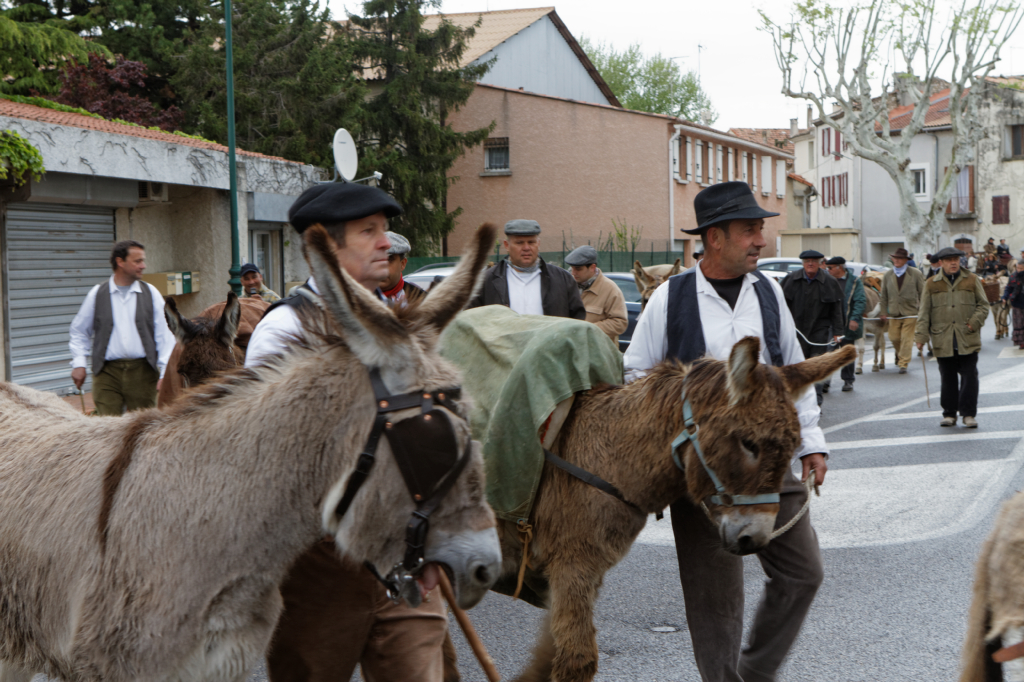 Fete de la transhumance Senas 28042013 089