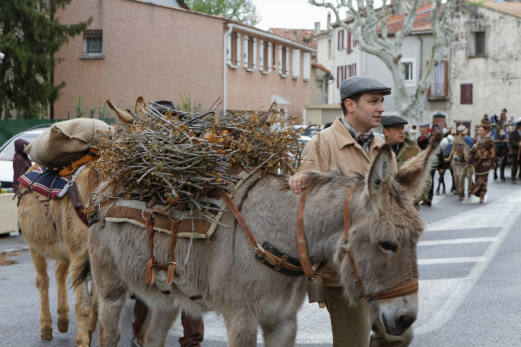 Fete de la transhumance Senas 28042013 091