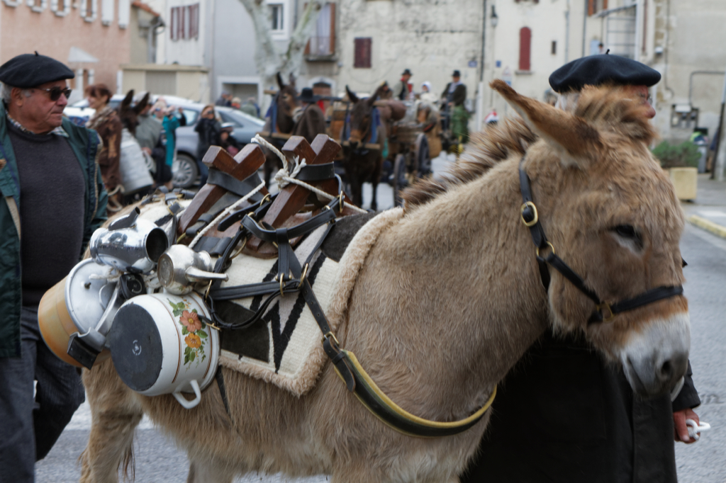 Fete de la transhumance Senas 28042013 092