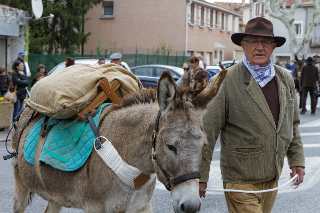 Fete de la transhumance Senas 28042013 093