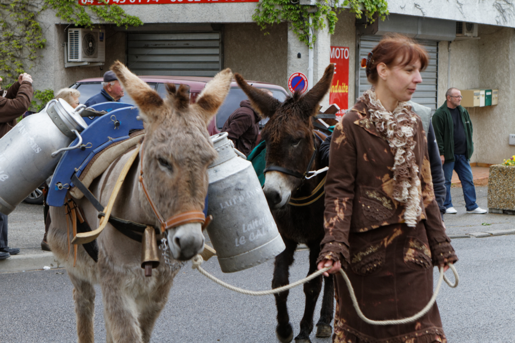 Fete de la transhumance Senas 28042013 095