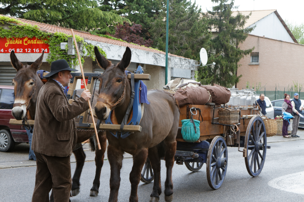 Fete de la transhumance Senas 28042013 096