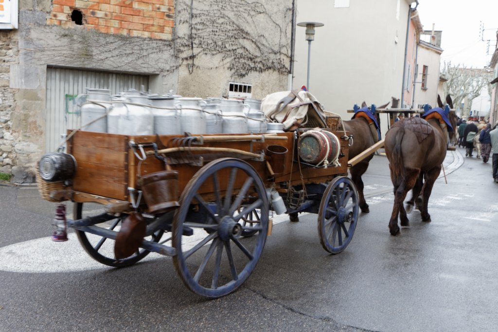 Fete de la transhumance Senas 28042013 097